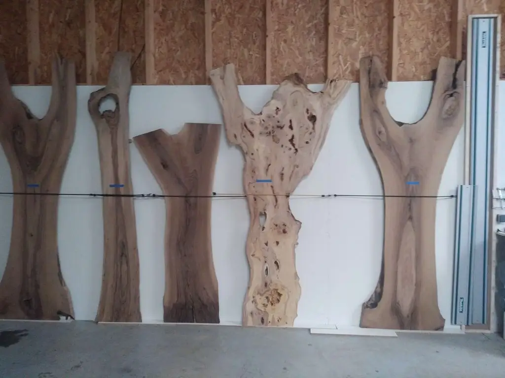 Pièces de bois massif en forme de fourche exposées dans un atelier de menuiserie à Stanwood-Bretagne, idéales pour la fabrication de meubles en bois naturel ou de tables en résine époxy.